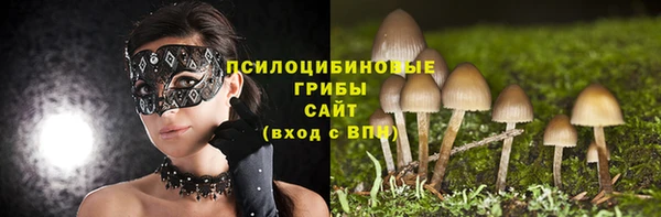 винт Каменногорск