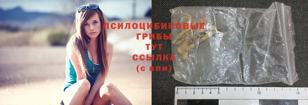 винт Каменка