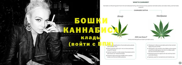 винт Каменка