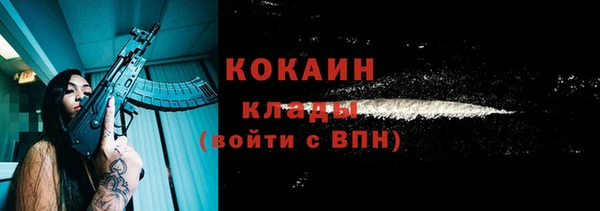 винт Каменка