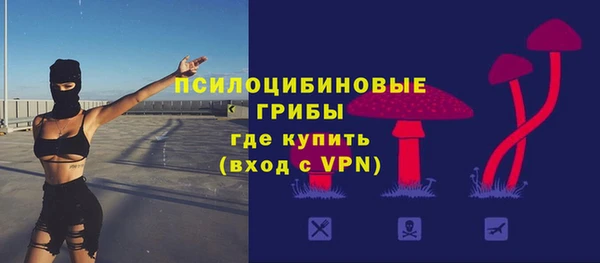 винт Каменногорск