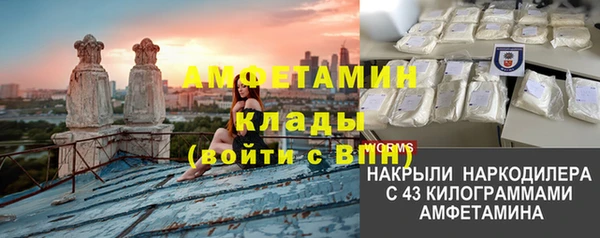 винт Каменка