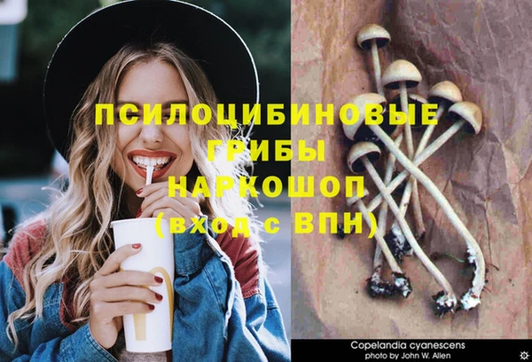 прущие крисы Каменск-Шахтинский