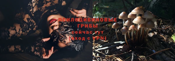 винт Каменка