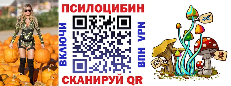Купить где Зверево Псилоцибиновые грибы Cubensis
