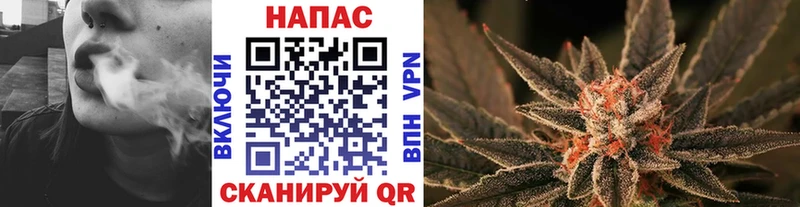 Бошки марихуана ГИДРОПОН  Купить закладки  Зверево 